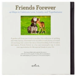 Hallmark Friends Forever: 42 Ways To Celebrate Love, Loyalty And Togetherness Book -Hallmark 0001BOK1438 3